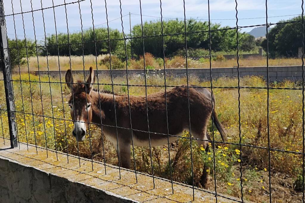 オルビア Cottege Pegasoヴィラ エクステリア 写真